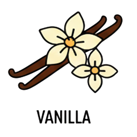 Sirop de Vanille