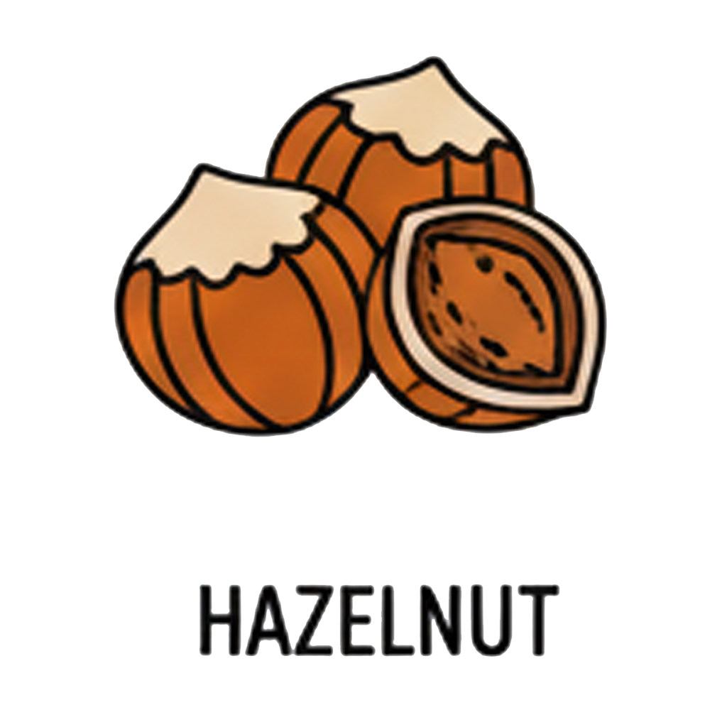Sirop de Noisette